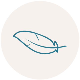 feather icon
